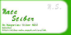 mate stiber business card